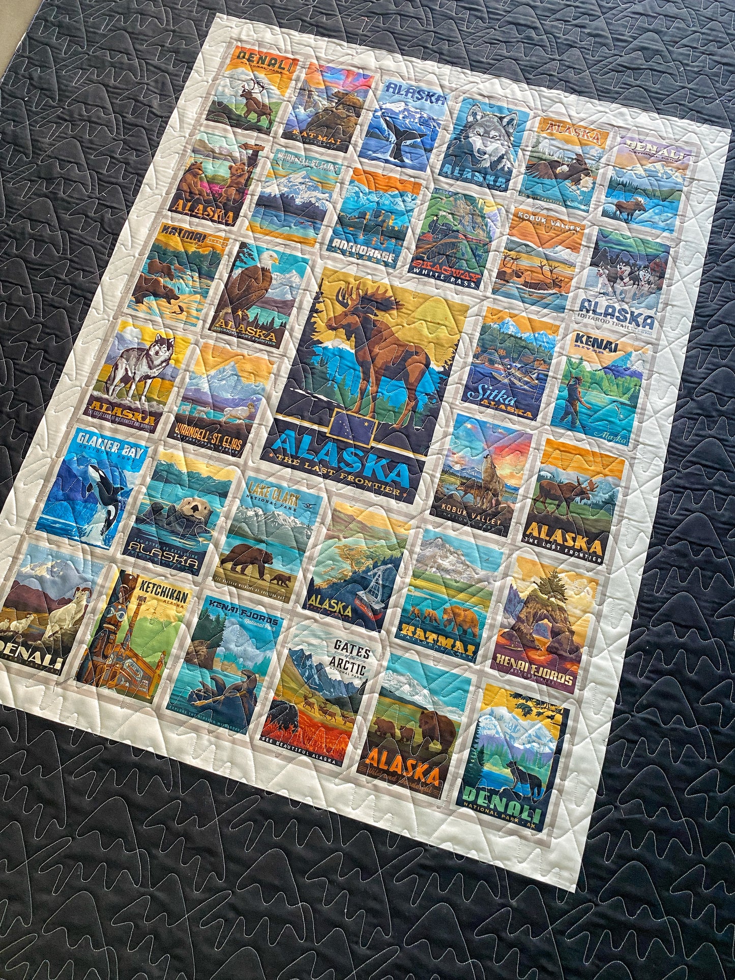 Alaska Panel