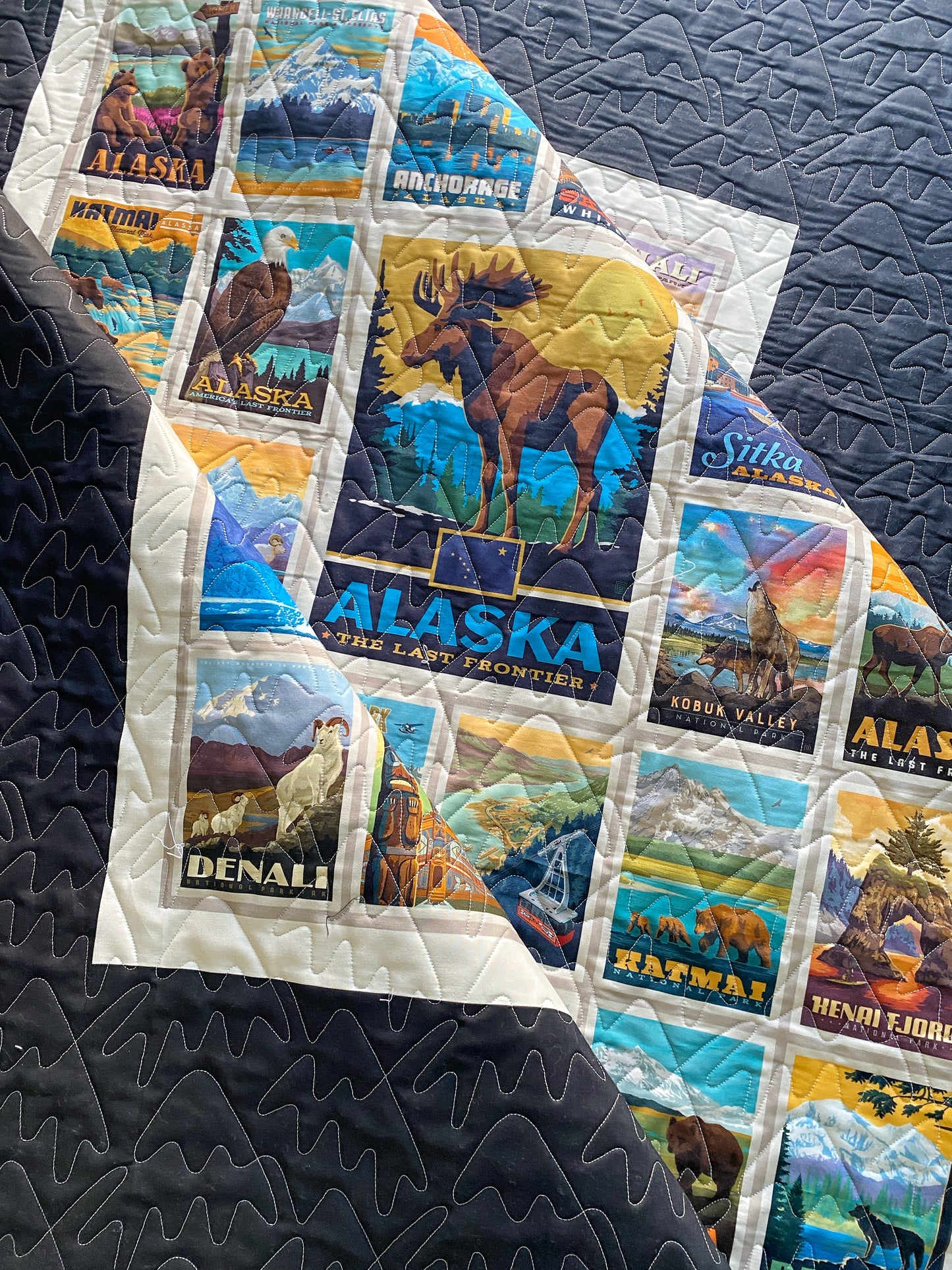 Alaska Panel