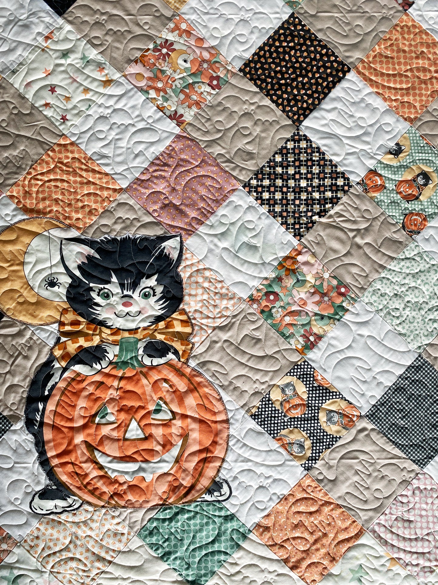 Splendid Shimmer, Archie, Hodge Podge & Kitty Corn